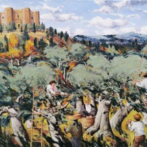 La raccolta delle olive