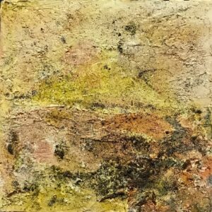 Sopore della siesta, 1997