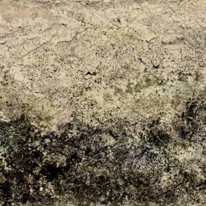 Evocazione evanescenze, 1994