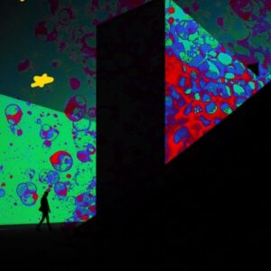 Così basso così alto