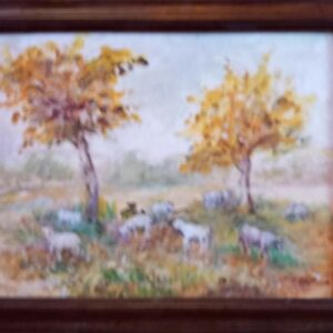 Pecore al pascolo in autunno