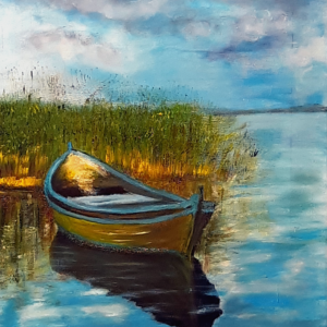 Barca in palude