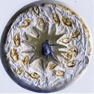 Inizio – Nascita – Fine