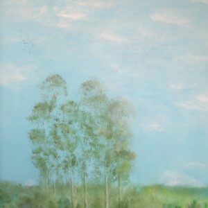 Gli alberi si aprono al cielo